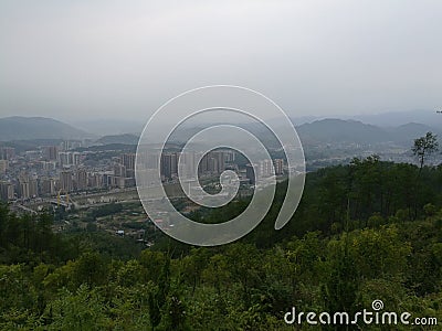 First light of morning pine tree Editorial Stock Photo