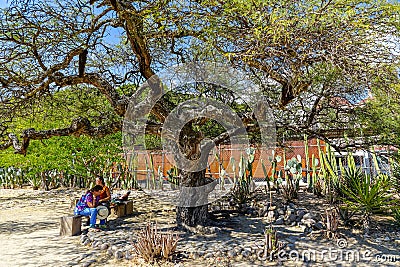 Take a pause under tree shadow at Mitla Editorial Stock Photo