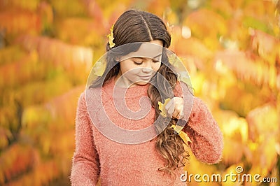 First signs of autumn. Small child wear autumn leaves in hair. Autumn beauty. Give your hair a seasonal reboot. Golden Stock Photo