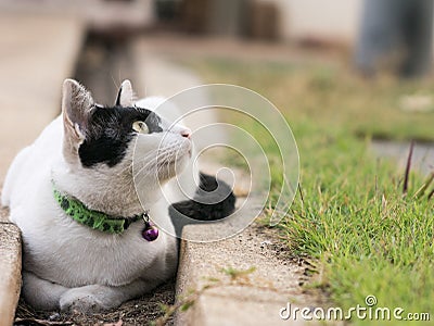 First signs of Spring Stock Photo