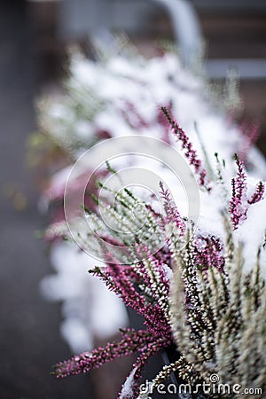 Helsinki, Finland October 2017 Stock Photo