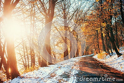 First snow in the forest. Beauty world. Road Stock Photo