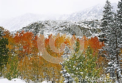First Snow in Mountains Stock Photo