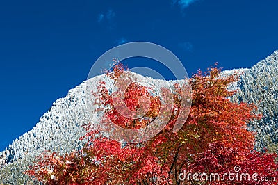 First snow on the mountains Editorial Stock Photo
