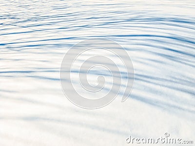 First snow , Tree shadows Stock Photo