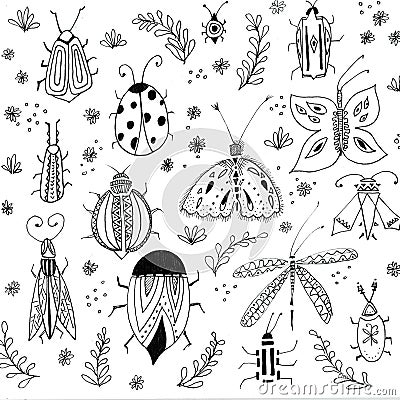 First spring flowers background. Floral elements, insects drawings. Hand drawn botanical illustrations. Garden and Stock Photo