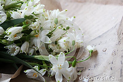 The first spring flowers in paper Stock Photo