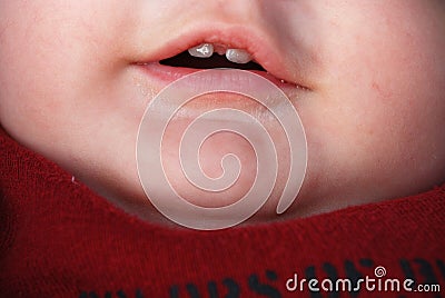 First teeth Stock Photo