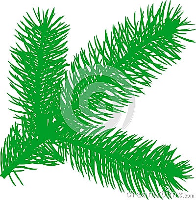 Firtree green element Vector Illustration