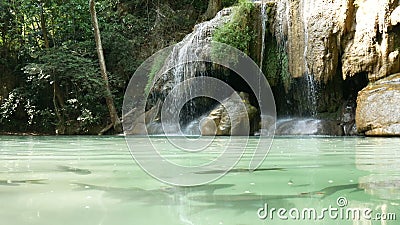 Fischen Sie Schwimmen unter Wasser um Erawan-Wasserfall, populäre berühmte Touristenattraktion in Kanchanaburi, Thailand Erawan W stock video footage Fischen Sie Schwimmen unter Wasser um Erawan-Wasserfall, populäre berühmte Touristenattraktion in Kanchanaburi, Thailand Erawan W stock video footage