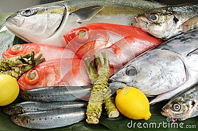 Fish Stock Photo
