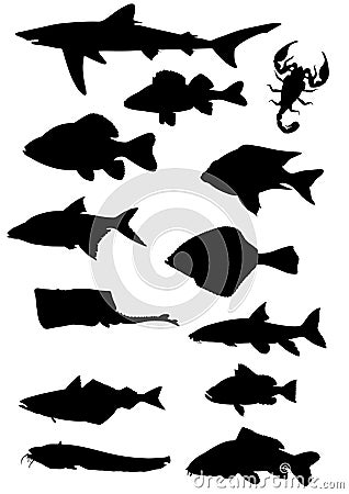 Fish Vector Illustration