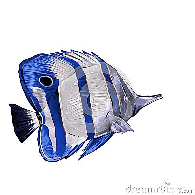 Fish Acanthur sketch vector Vector Illustration