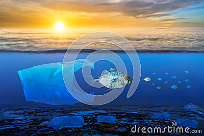 Fish that are approaching dying, floating on the surface, the impact of plastic waste in the sea concepts of nature conservation Stock Photo