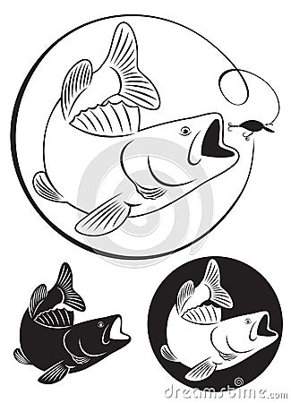 fish bass Vector Illustration