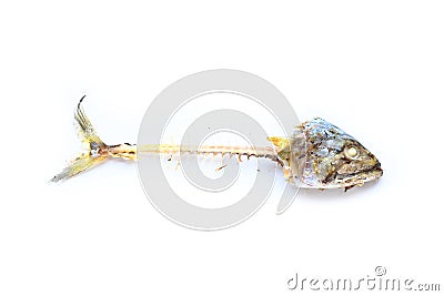 Fish bone Stock Photo