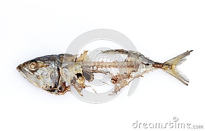 Fish bone Stock Photo