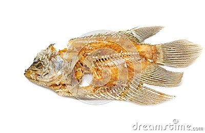 Fish bone Stock Photo