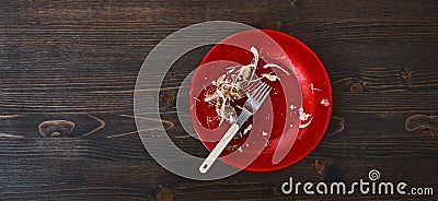 Fish bones on a single red plate. Top down flat photo with copy space Stock Photo