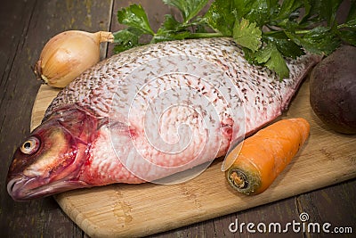 Fish bream Stock Photo