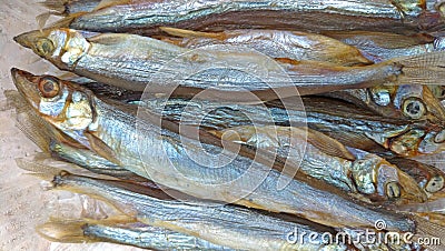 Fish capelin Stock Photo