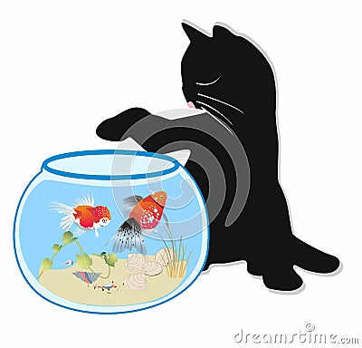 Fish and cat Stock Photo