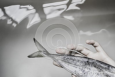 Fish catch white hand. Aquatic moment. Stock Photo