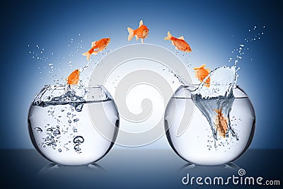 Fish change concept Stock Photo