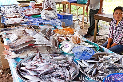 Fish choice on the local market in Khao Lak Editorial Stock Photo