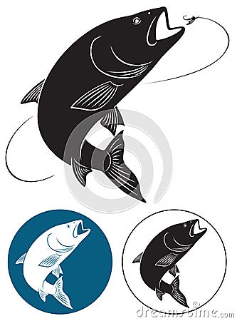 fish chub Vector Illustration