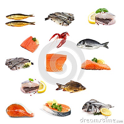 Fish collage isolated on white Stock Photo