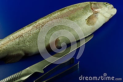 Fish on color coded food board Stock Photo