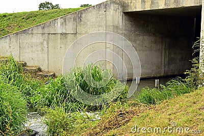 Fish crossing on the Power weir on the river Thaya Stock Photo
