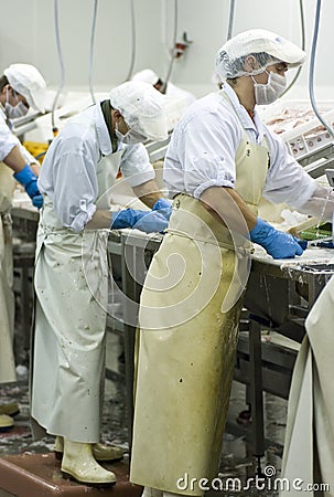 Fish cutters at work Stock Photo