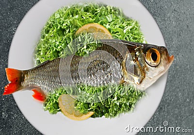 Fish dinner Stock Photo