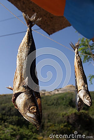 Fish Drying Stock Photo