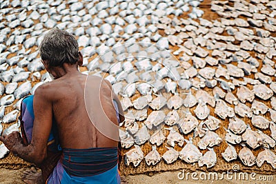 Fish drying in the sun Editorial Stock Photo