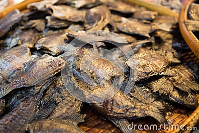 Fish drying under the sun Stock Photo