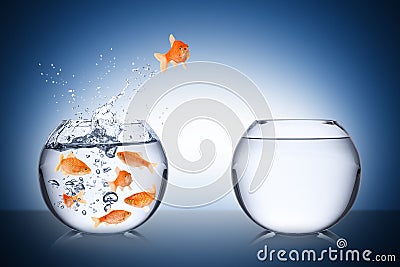 Fish escape concept Stock Photo