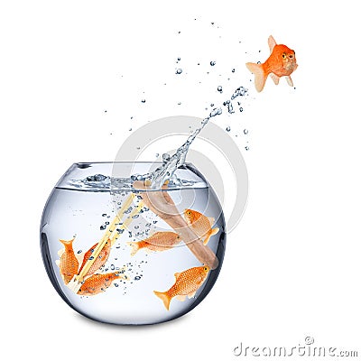 Fish escape concept Stock Photo