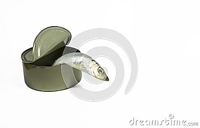 Fish escaping Stock Photo