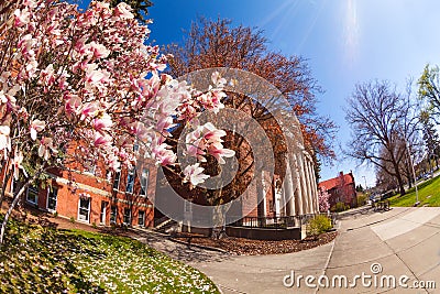 Fish-eye view of University Way street, Ellensburg Stock Photo