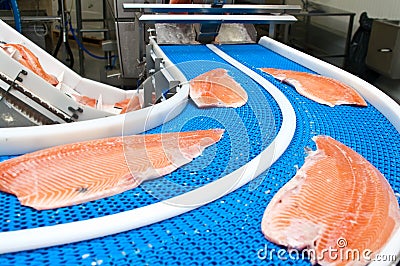 Fish factory salmon production Stock Photo