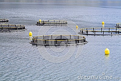 Fish farming nets Stock Photo