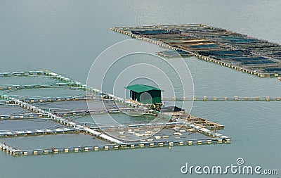 Fish farming, fish tank, daklak, Vietnam Stock Photo