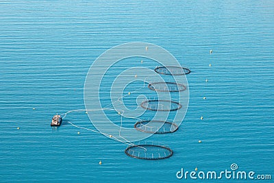 Fish farming in Norway with floating cages and ship aerial view Stock Photo