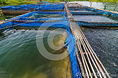 Fish farms with blue net Stock Photo