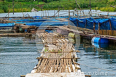 Fish farms with blue net Stock Photo