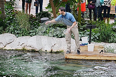 Fish Feeding show Editorial Stock Photo