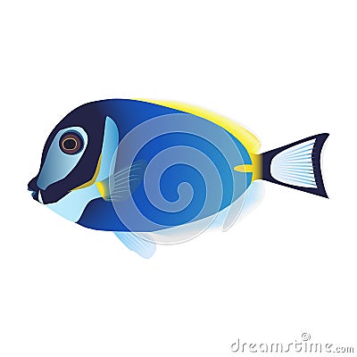 Fish Acanthurus leucosternon on a white background. Vector Illustration